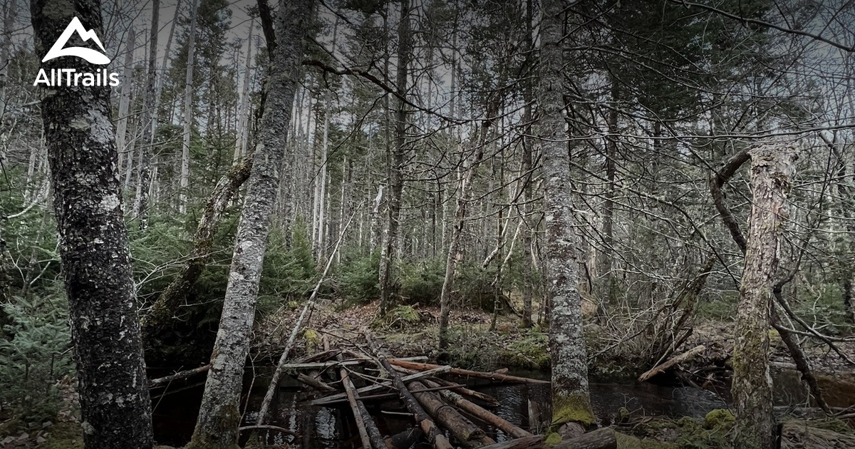 Best Trails near Dauphinee Mountain AllTrails