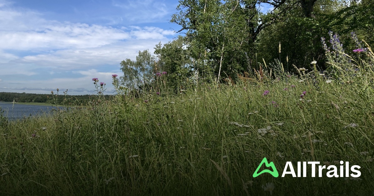 Bredng Camping Stockholm - hikes and trails to get you there | AllTrails