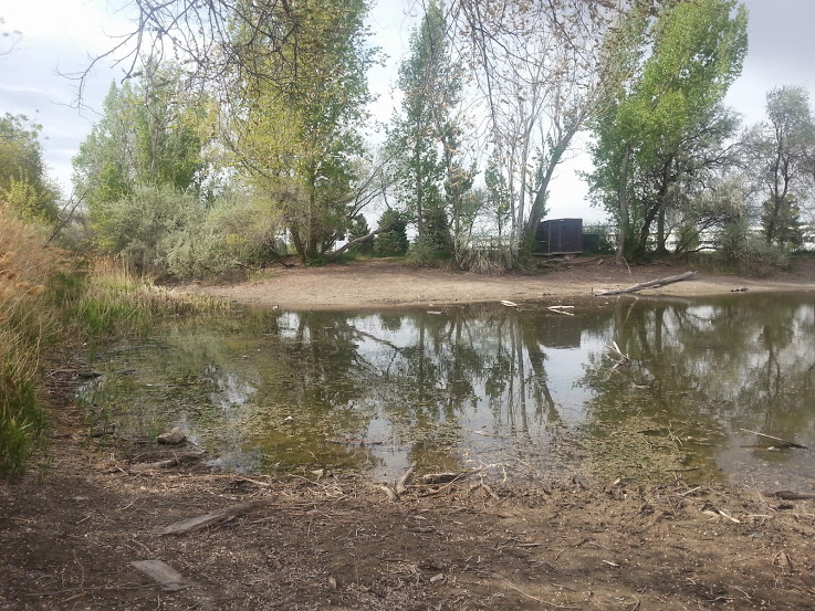 Ogden Bay Waterfowl Management Area Utah