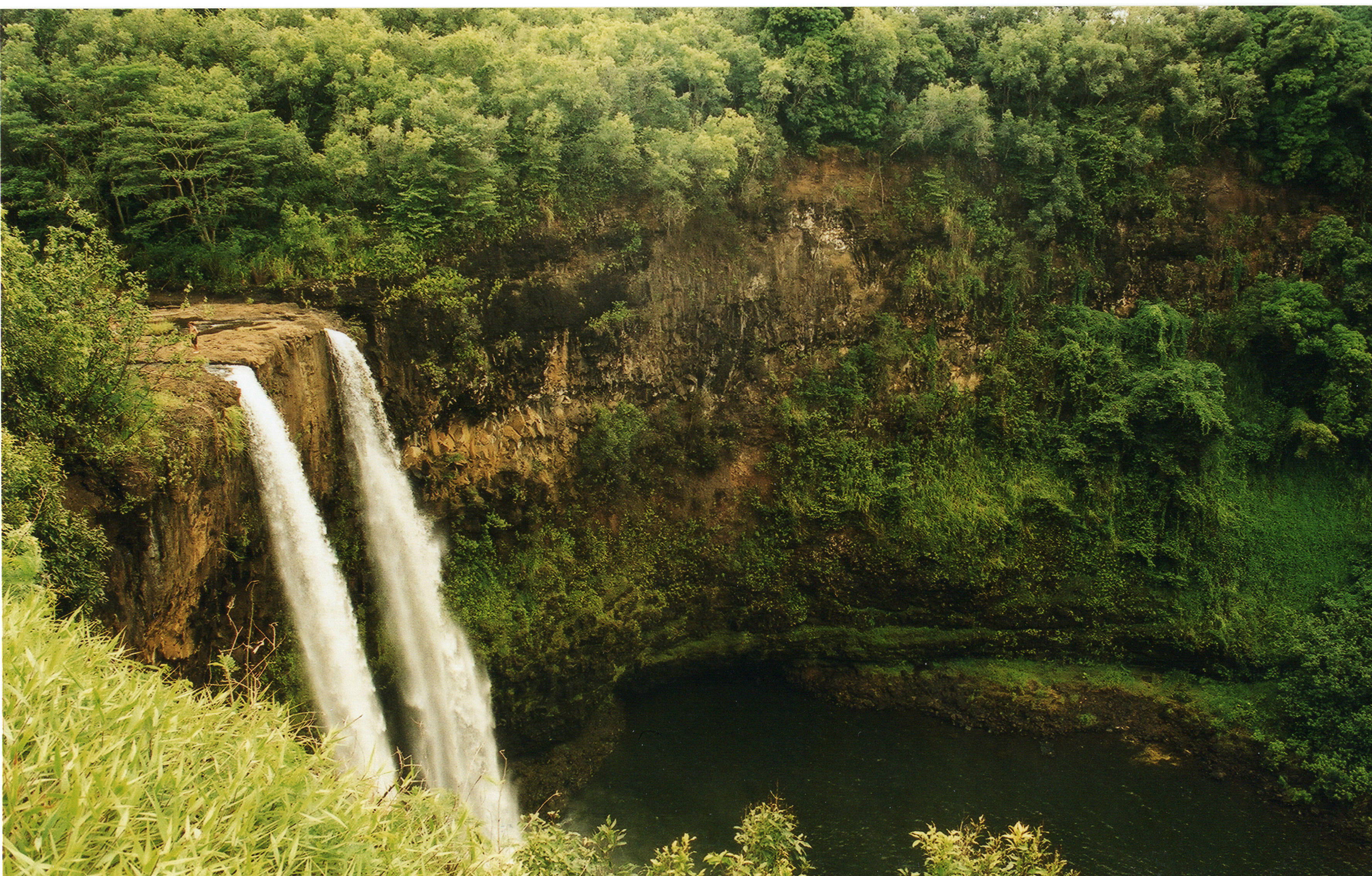 Where the Jungle Meets the Sea: A Journey Through Wailua River State Park