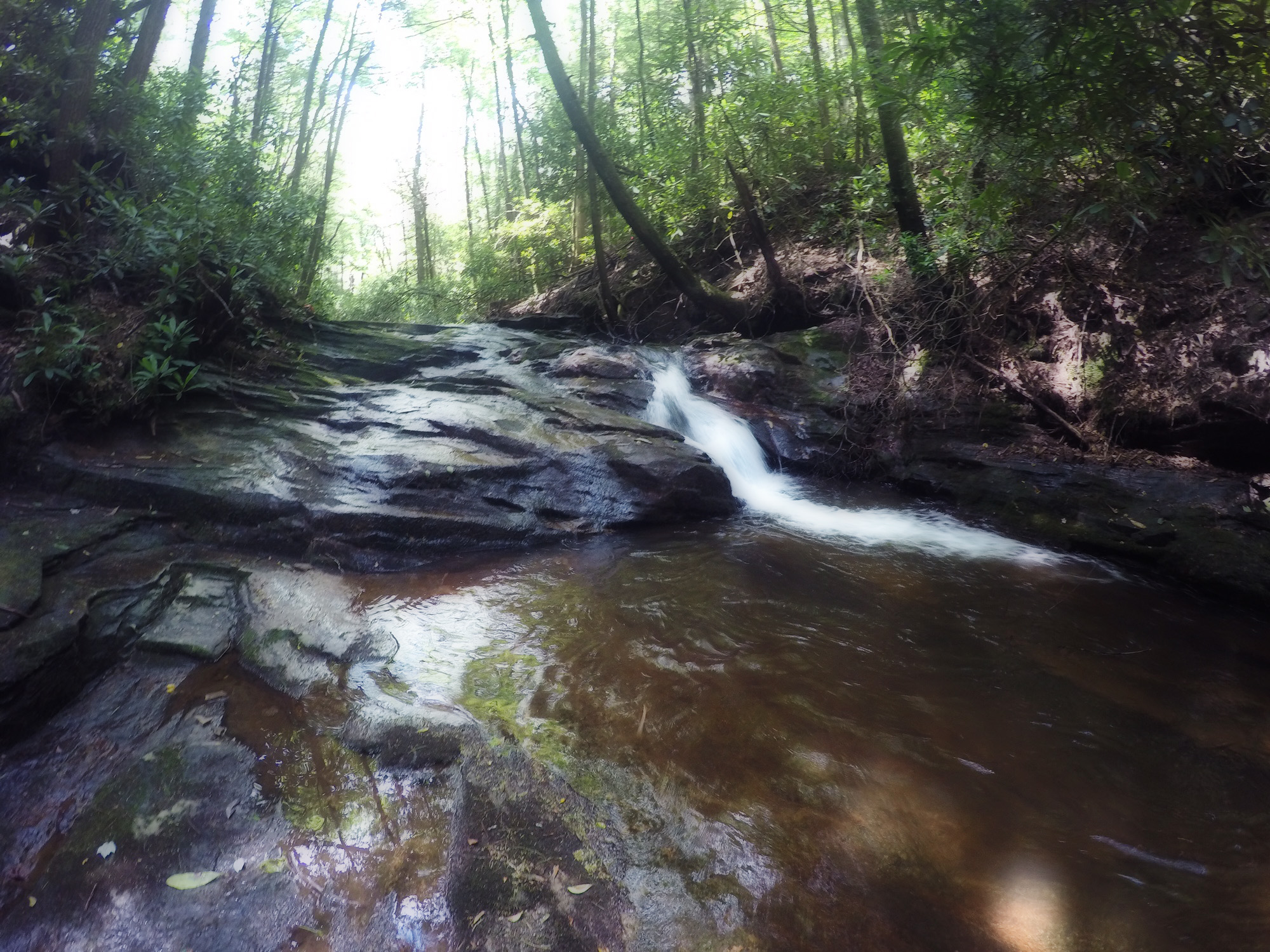 Dallas Water Company >> Dukes Creek Trail - Georgia | AllTrails.com Dallas Water Company >> Dukes Creek Trail - Georgia | AllTrails.com