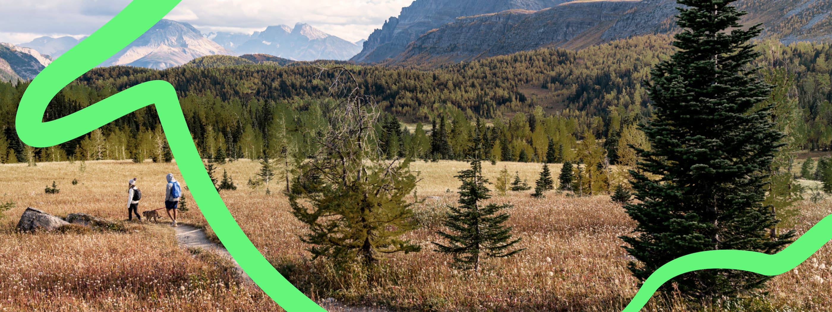Two hikers in grey jackets with hats and backpacks walk along a sandy path with a yellow lab on leash. Grassy meadows surround them with rolling hills covered in pine trees and snow-capped mountains behind them.