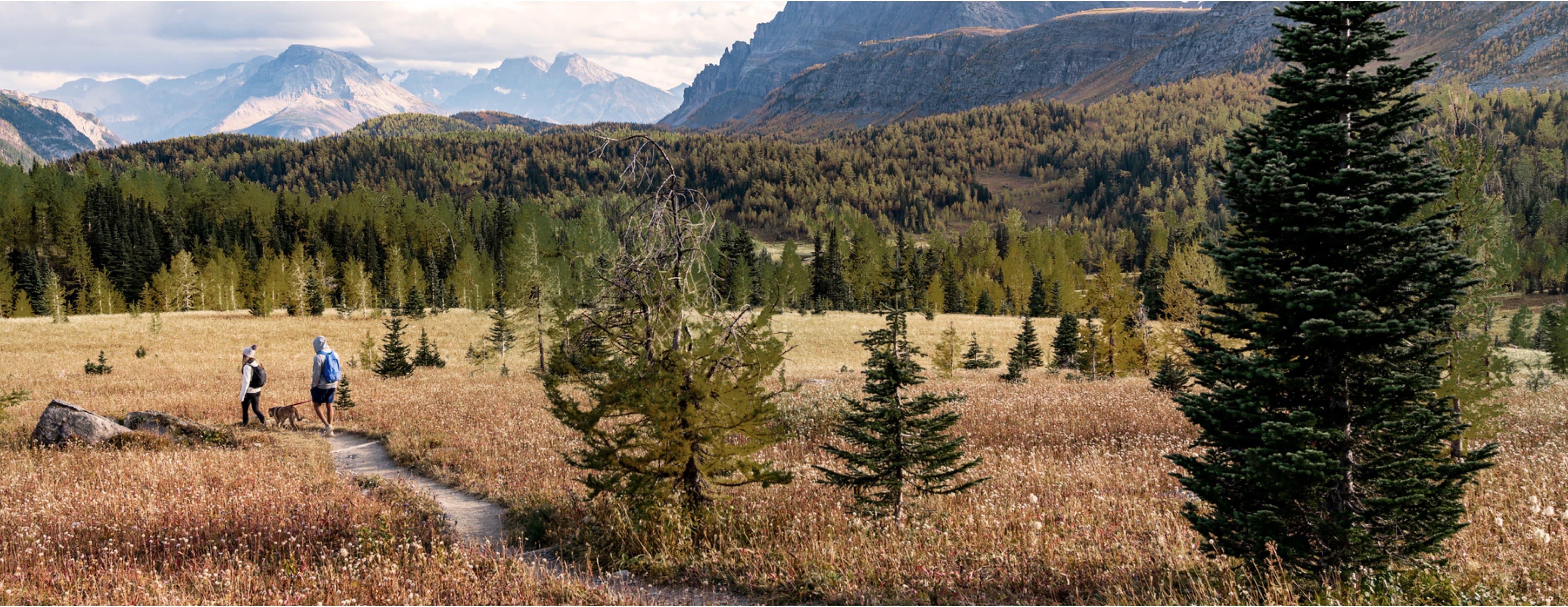 Two hikers in grey jackets with hats and backpacks walk along a sandy path with a yellow lab on leash. Grassy meadows surround them with rolling hills covered in pine trees and snow-capped mountains behind them.