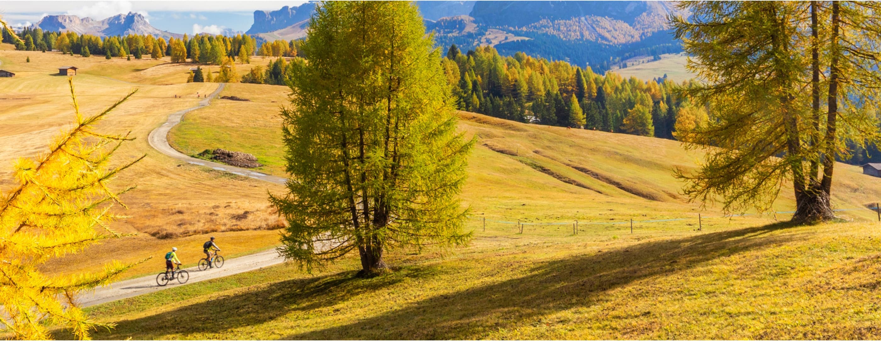 Two people ride bicycles along a dirt road winding between yellow grassy fields with small historic barns in front of a line of trees with colorful fall leaves and majestic bare rocky mesas.