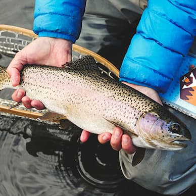 Fishing