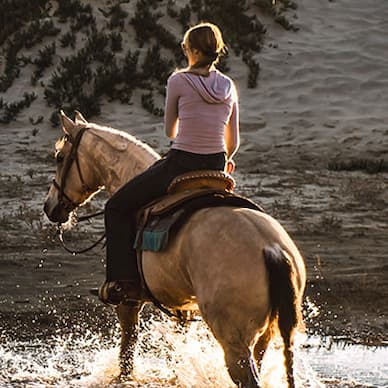Horseback riding