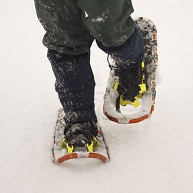 Snowshoeing