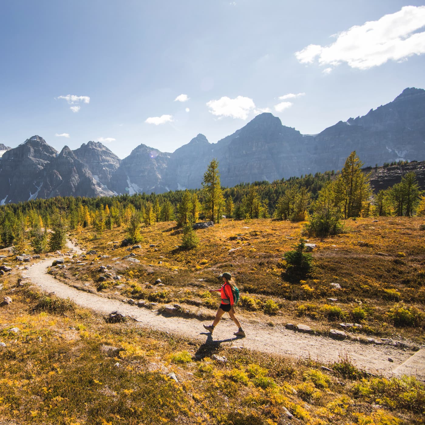View of Welcome | AllTrails