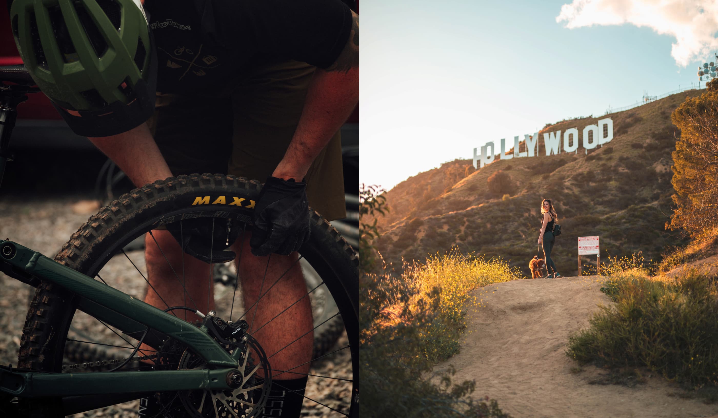 Login | AllTrails
