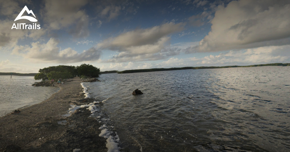 Best wildflower trails in Biscayne - Parks Us Florida Biscayne National Park 10106787 20210126080001000000000 1200x630 3 41611786492 