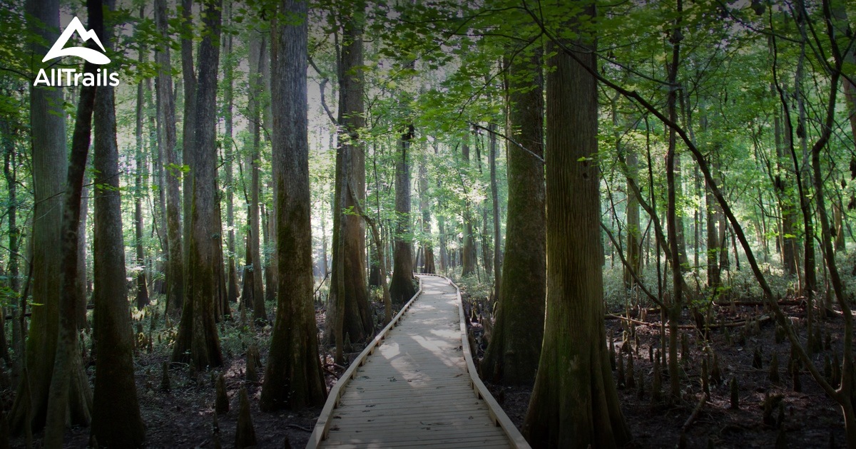 Best Trails in Congaree National Park | AllTrails