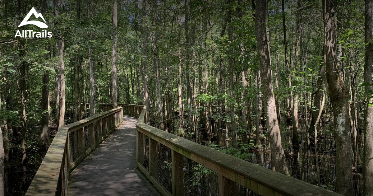 10 Best Hikes and Trails in Congaree National Park | AllTrails