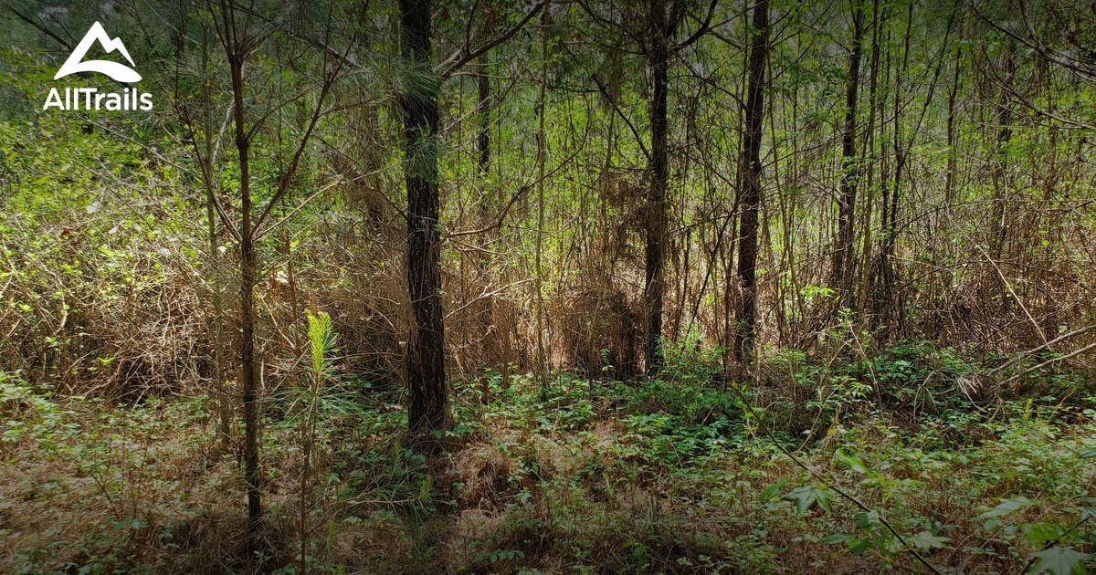 Best hikes and trails in Chickasaw State Park | AllTrails
