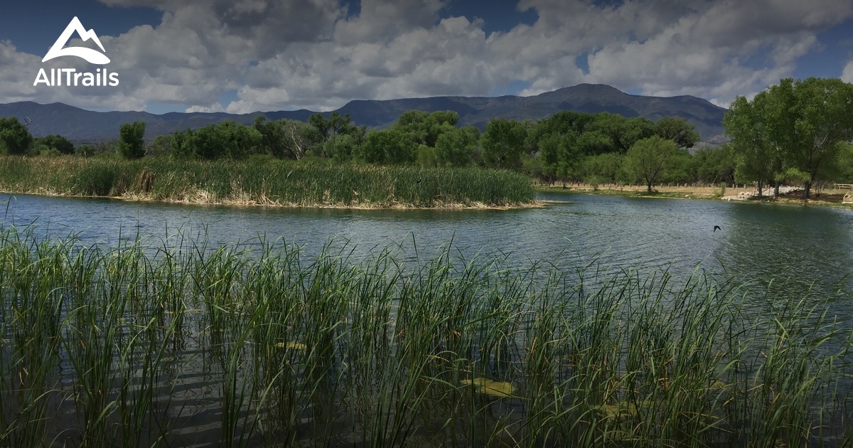 Best Trails in Dead Horse Ranch State Park Arizona AllTrails