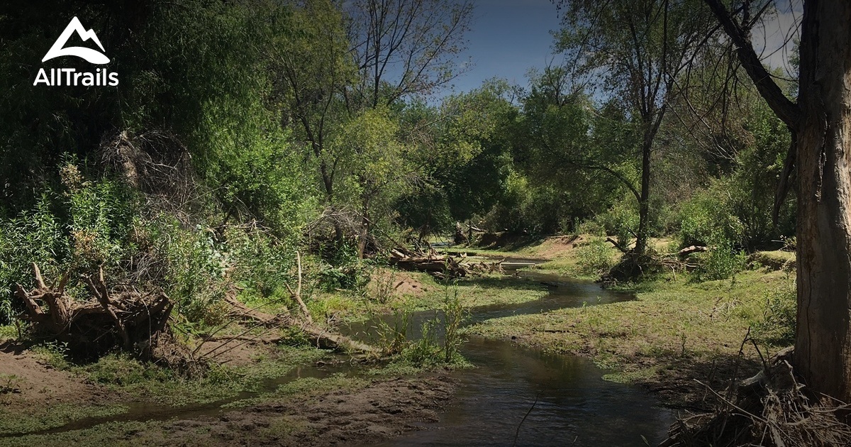 Best Trails in Patagonia Lake State Park Arizona AllTrails