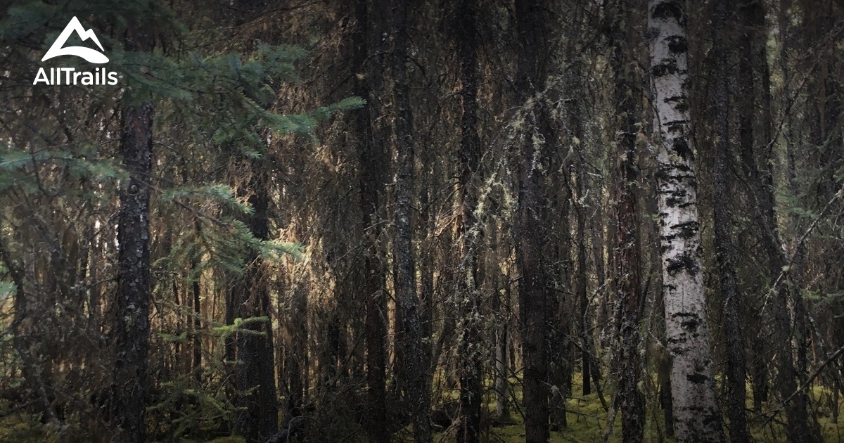 Best hikes and trails in Harding Lake State Recreation Area AllTrails