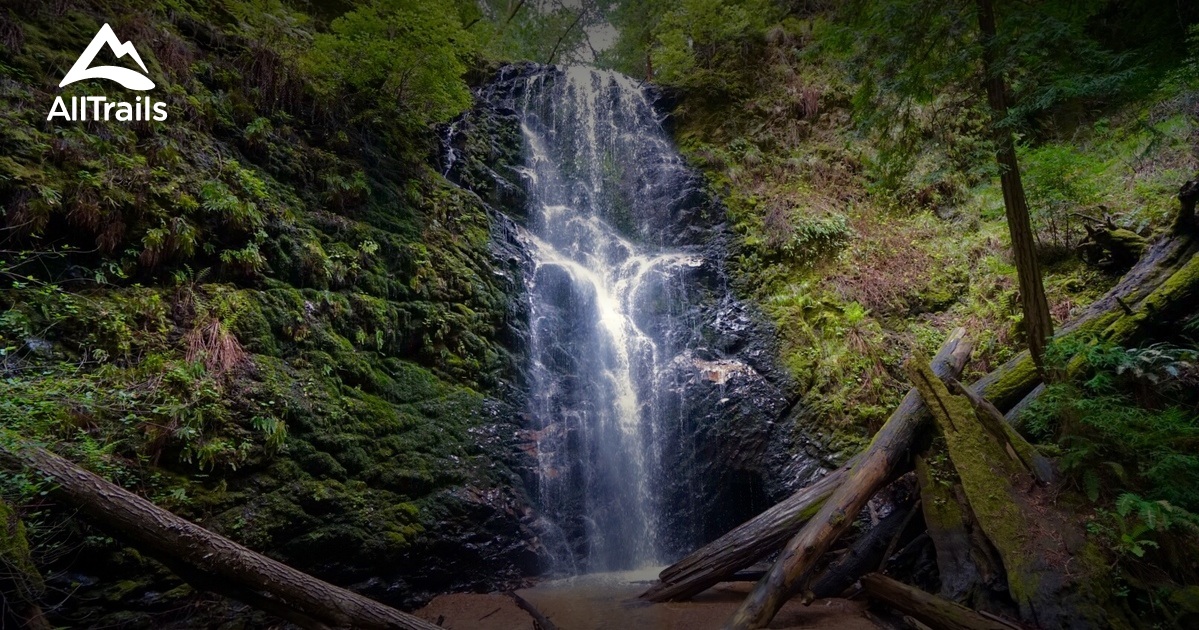 Best Trails In Big Basin Redwoods State Park 5477