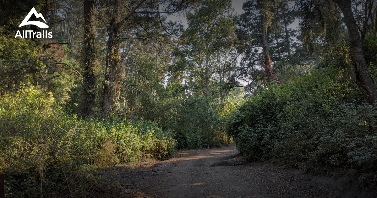 Best hikes and trails in Hatton Canyon | AllTrails