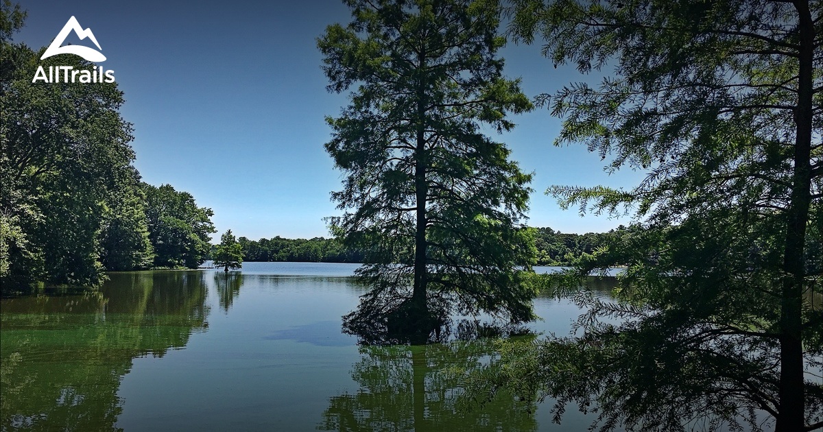 Best Trails in Trap Pond State Park - Delaware | AllTrails