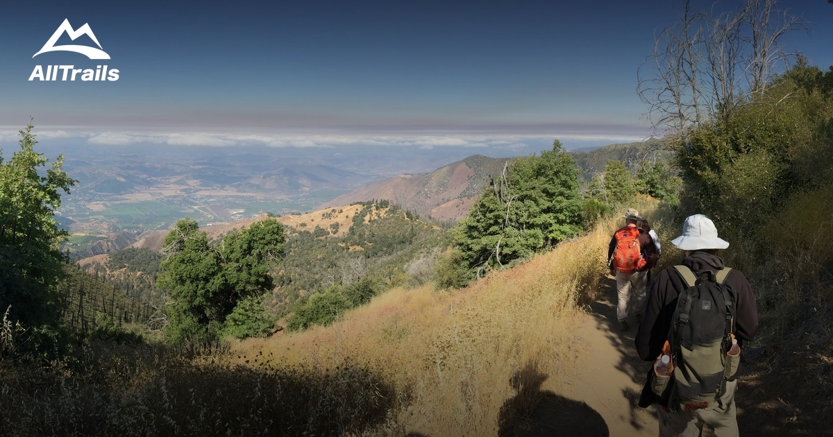 Best Trails in Palomar Mountain State Park