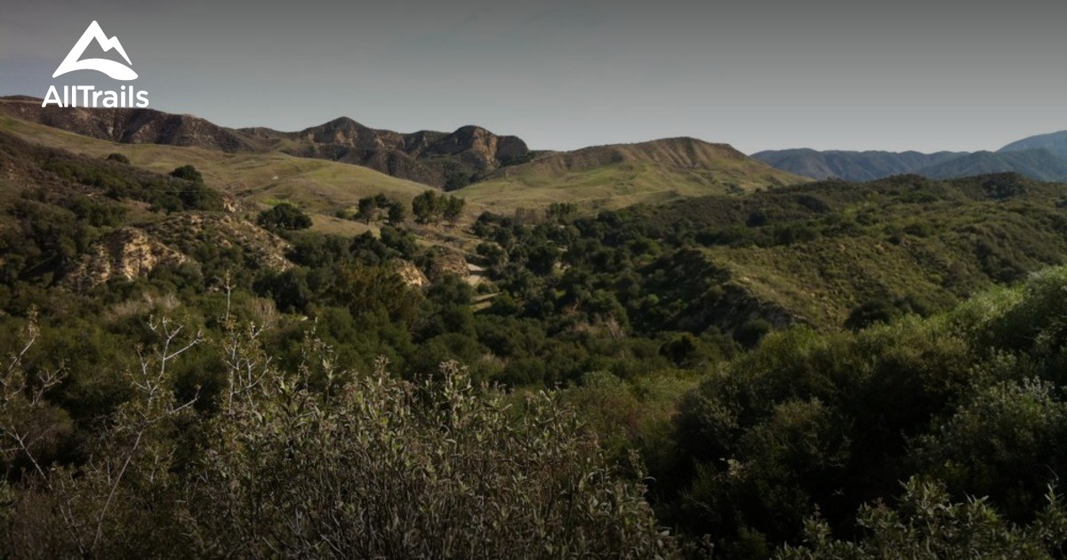 Best Trails in Placerita Canyon State Park - California | AllTrails