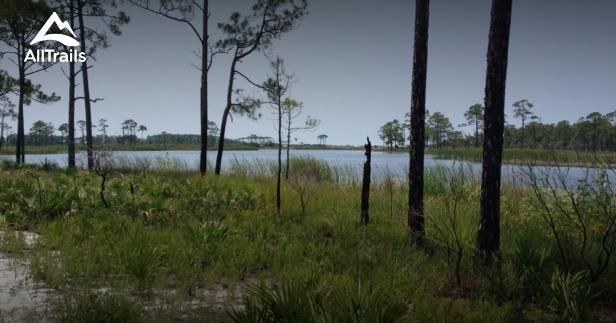 Best Trails in Grayton Beach State Park | AllTrails.com