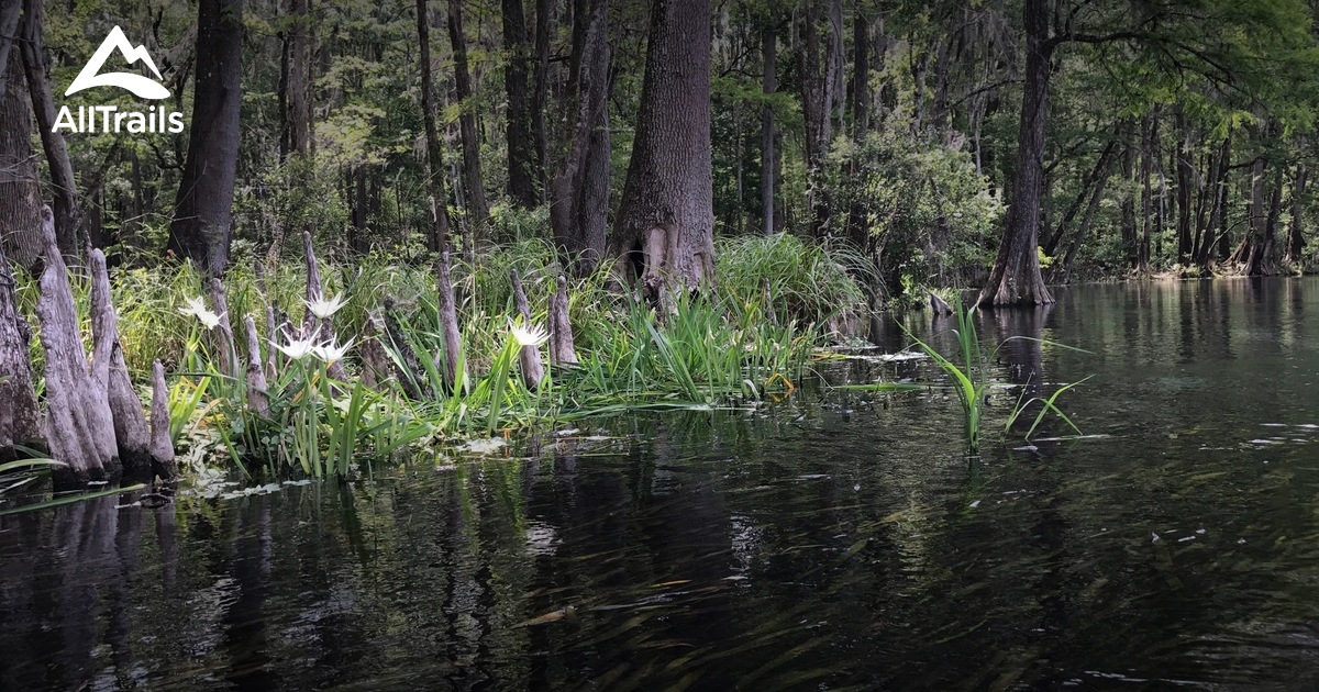 Best Hikes And Trails In Ichetucknee Springs State Park Alltrails