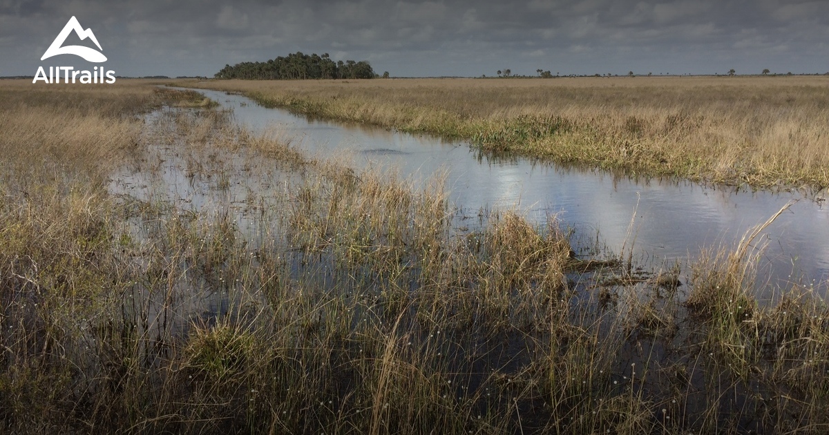Best Trails in Kissimmee Prairie Preserve State Park - Florida | AllTrails