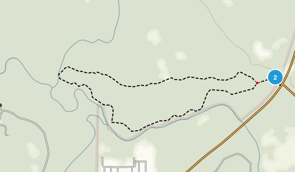 Best Trails in Little Manatee River State Park - Florida | 152 Photos