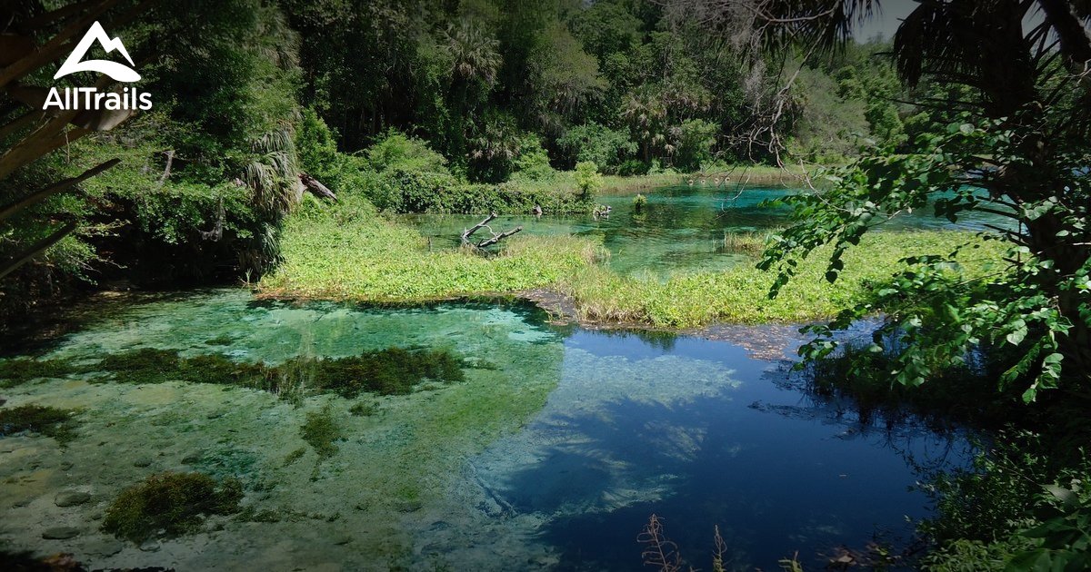 Best Trails in Rainbow Springs State Park - Florida | AllTrails