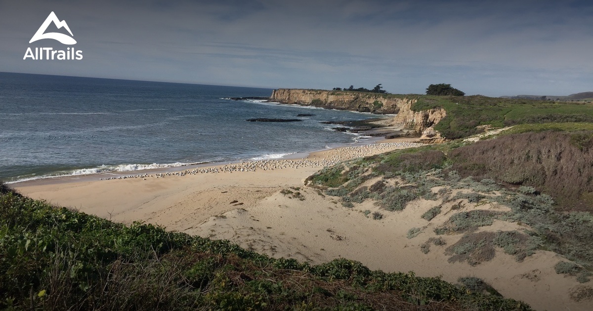 Best Trails in Wilder Ranch State - Parks Us California Wilder Ranch State Park 10108976 20200317080022000000000 1200x630 3 41584434214