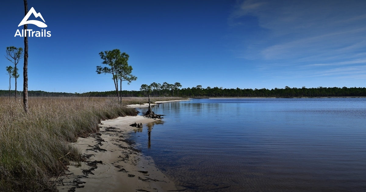 Best Trails in Tarkiln Bayou Preserve State Park - Florida | AllTrails