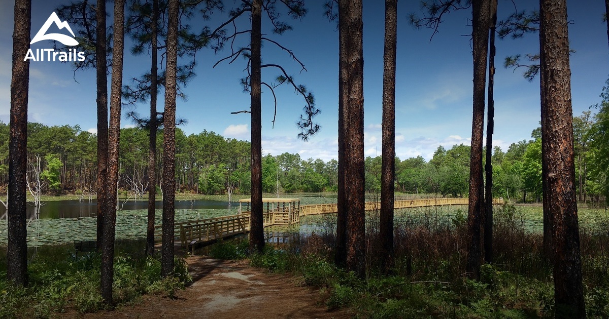 Best Trails In Seminole State Park Georgia Alltrails 