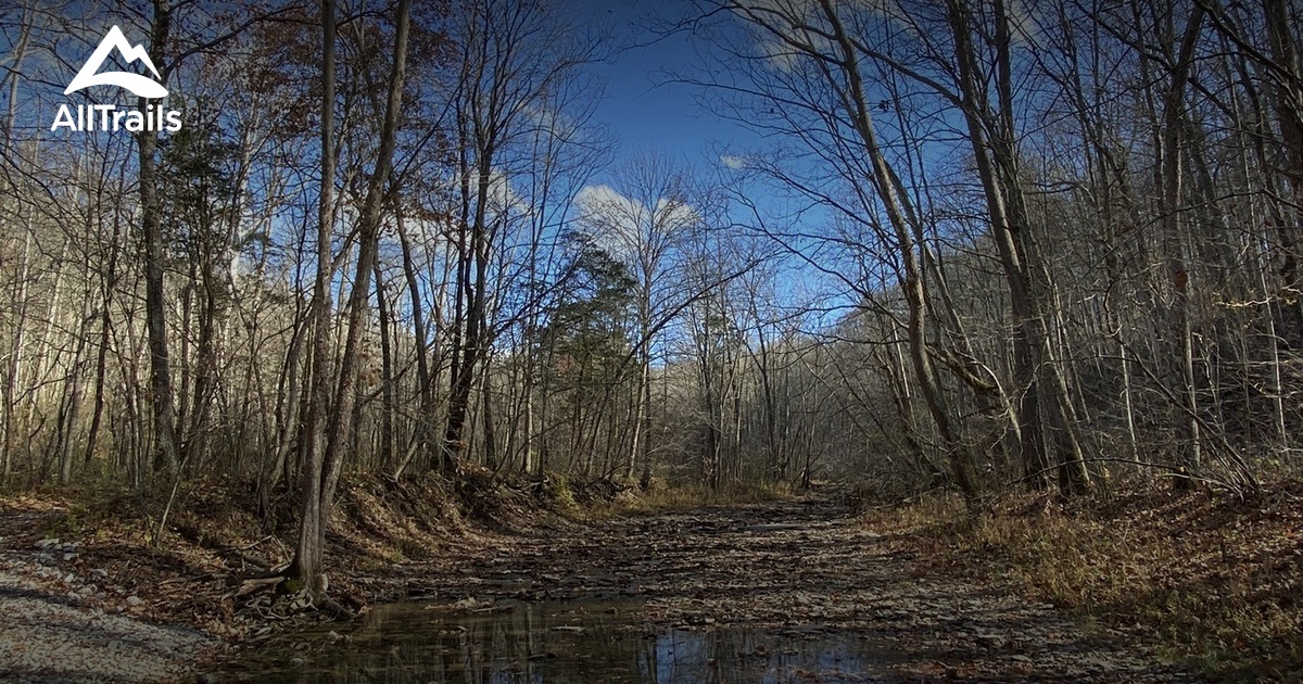 Best hikes and trails in Versailles State Park AllTrails