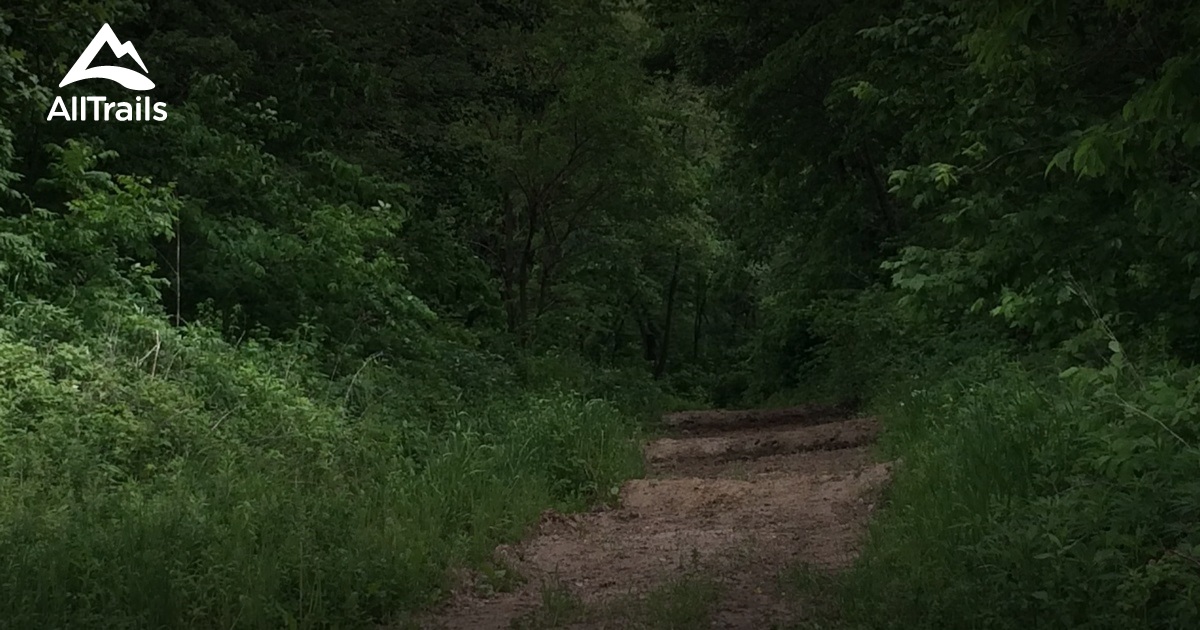 Best Trails in Brushy Creek State Recreation Area - Iowa | AllTrails
