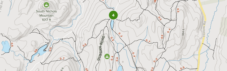 Best Trails in Brimfield State Forest: Map, Details | AllTrails