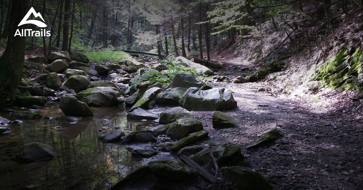 Escape To Nature's Embrace: Discover The Hidden Gem Of Clarksburg State ...