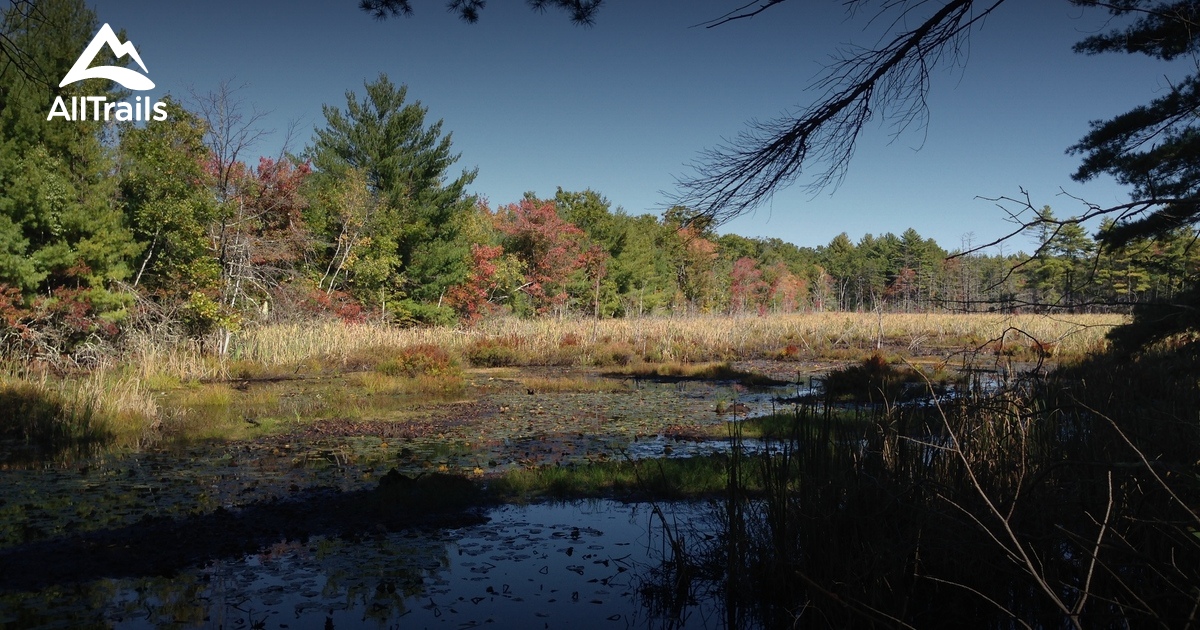 Best backpacking trails in Douglas - Parks Us Massachusetts Douglas State Forest 10110862 20201203231802000000000 1200x630 3 41607038225