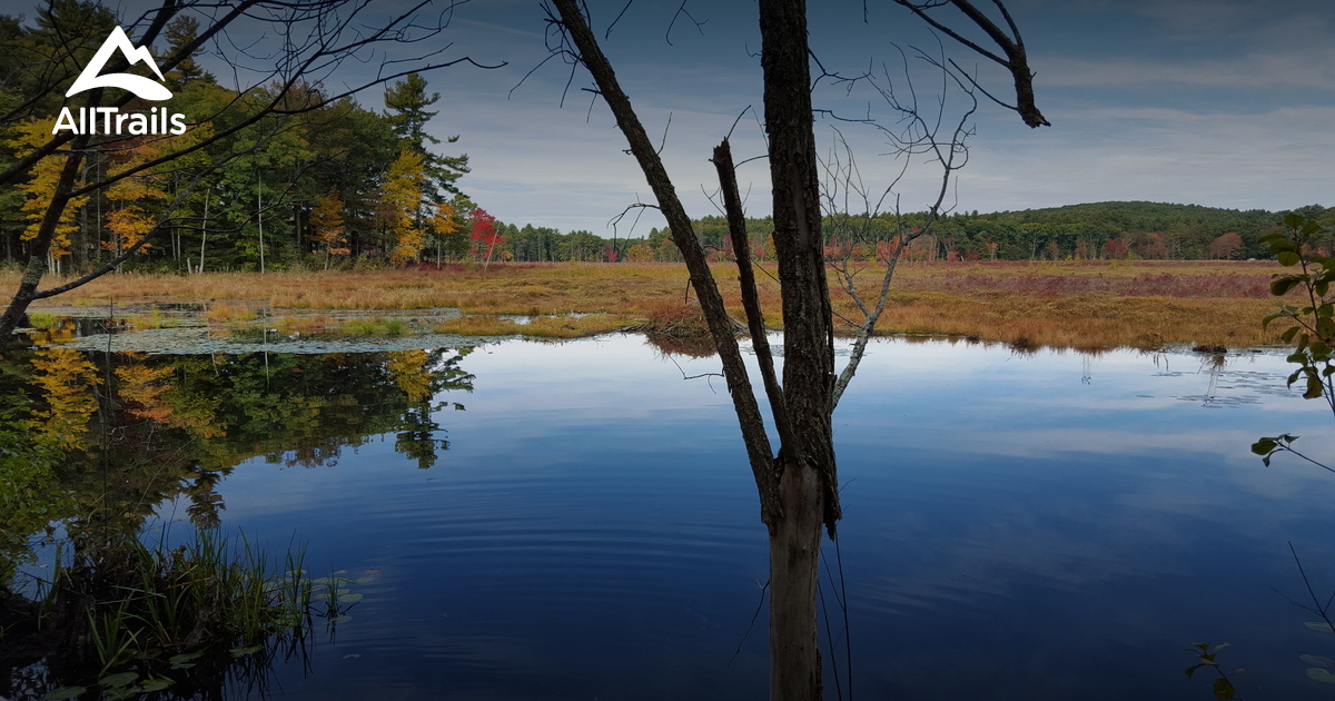 Escape To Nature’s Embrace: Exploring The Lowell-Dracut-Tyngsboro State Forest