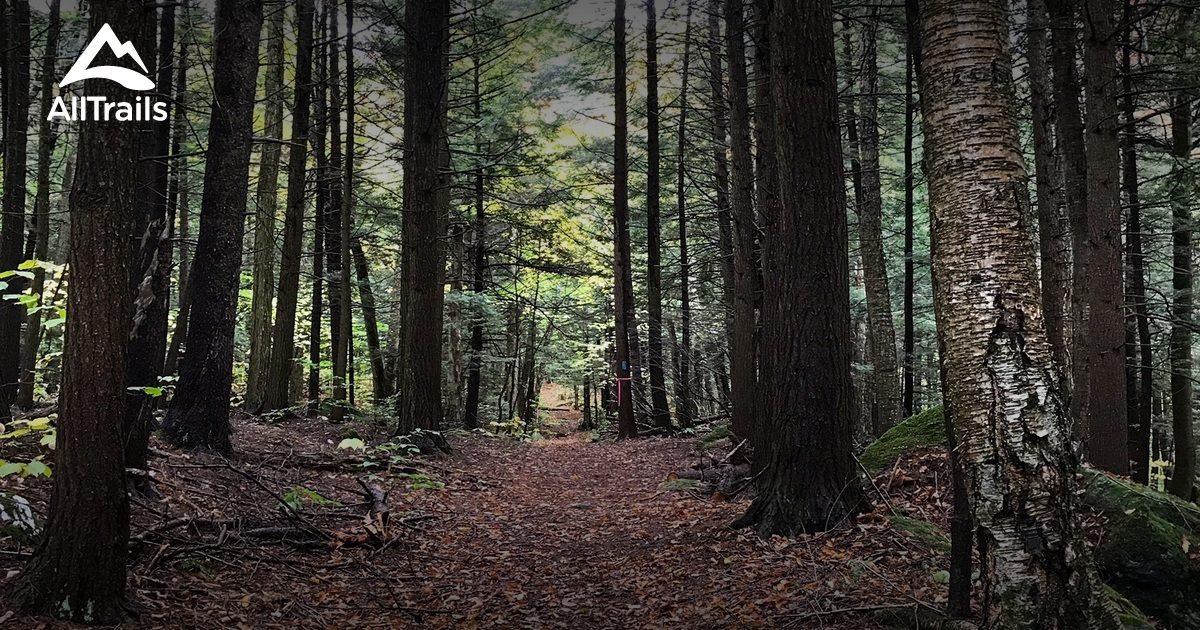 Best hikes and trails in Monroe State Forest | AllTrails