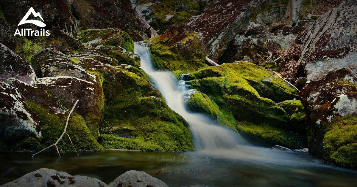 10 Best hikes and trails in Mount Everett State Reservation | AllTrails