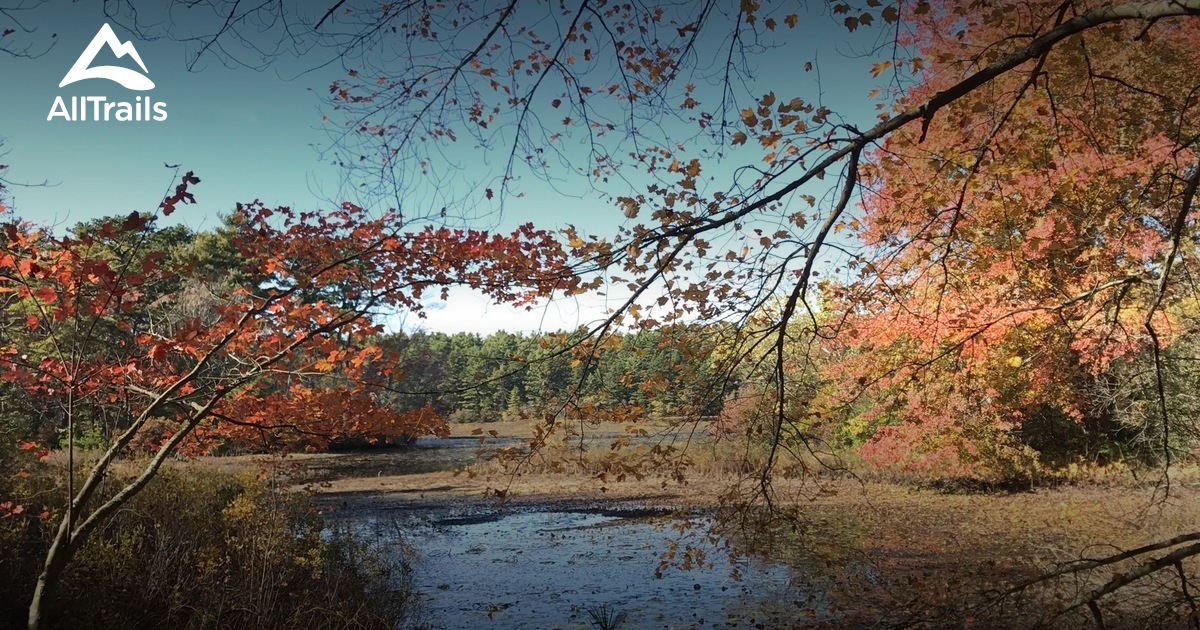 Best Trails in Myles Standish State Forest - Massachusetts | AllTrails