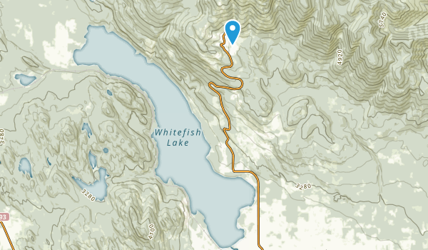 Best Trails in Whitefish Lake State Park - Montana  AllTrails