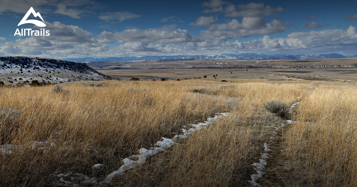 Best Trails in Madison Buffalo Jump State Park Montana AllTrails