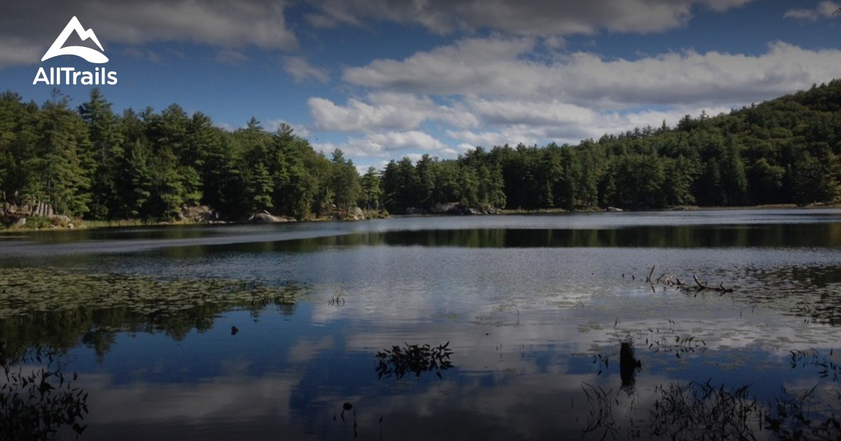 Best Trails in Pawtuckaway State Park - New Hampshire | AllTrails