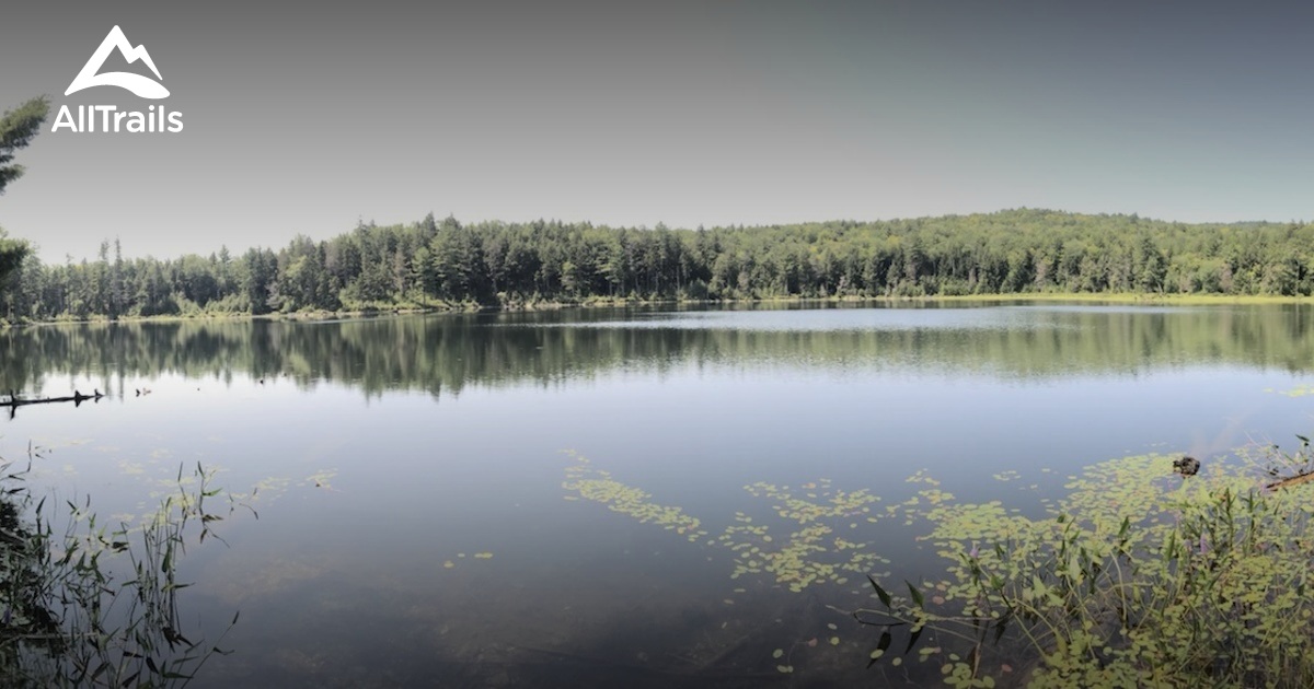 Escape to the Mountains: A Guide to Wellington State Park in New Hampshire