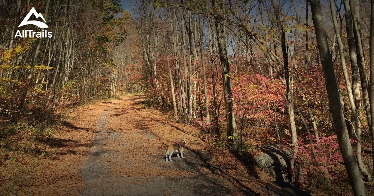 Best Trails in Allamuchy Mountain State Park New Jersey AllTrails