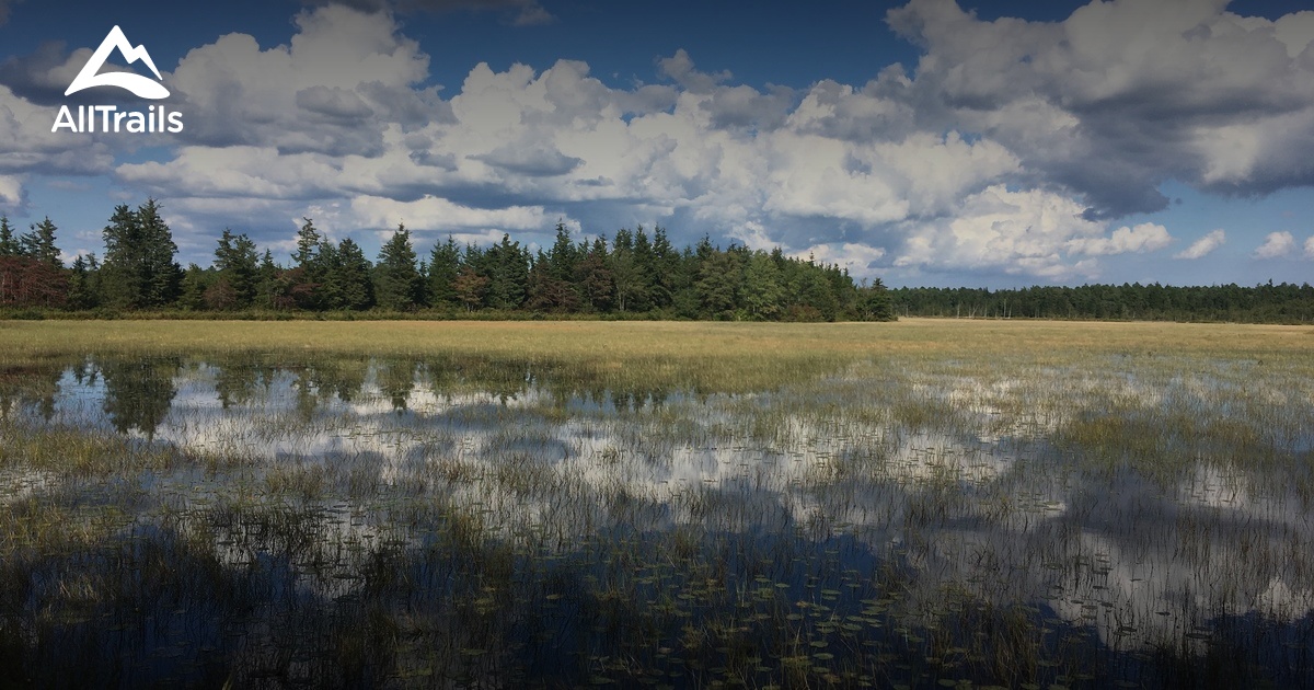 Best Trails in Brendan T. Byrne State Forest New Jersey AllTrails