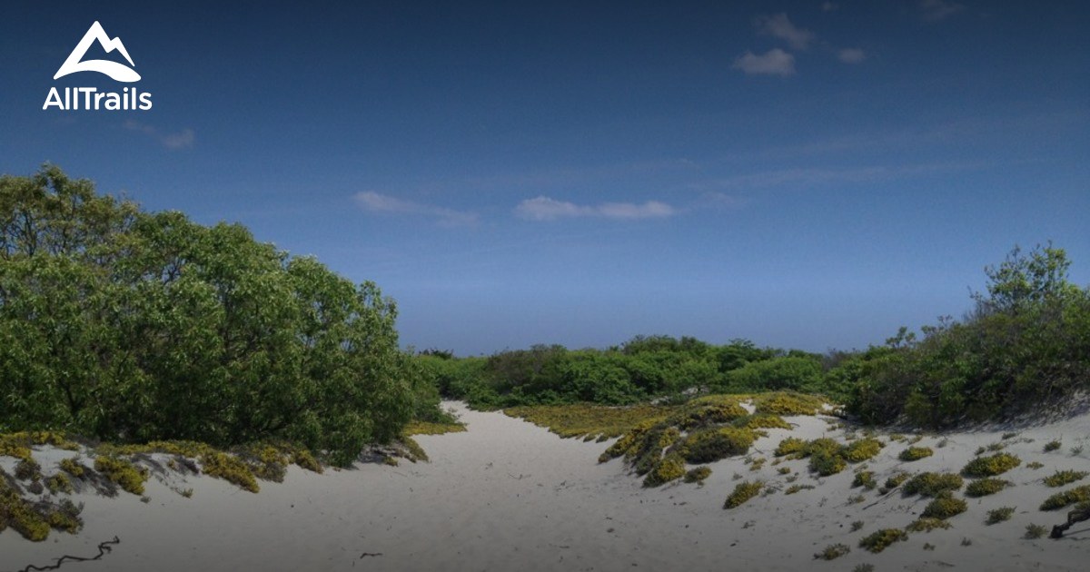Best hikes and trails in Island Beach State Park | AllTrails