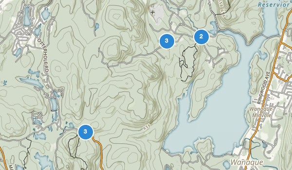 Best Trails in Norvin Green State Forest